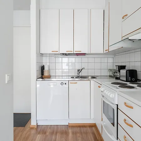 Lägenhet Comfy 1br With Sauna - Location In Jyväskylä